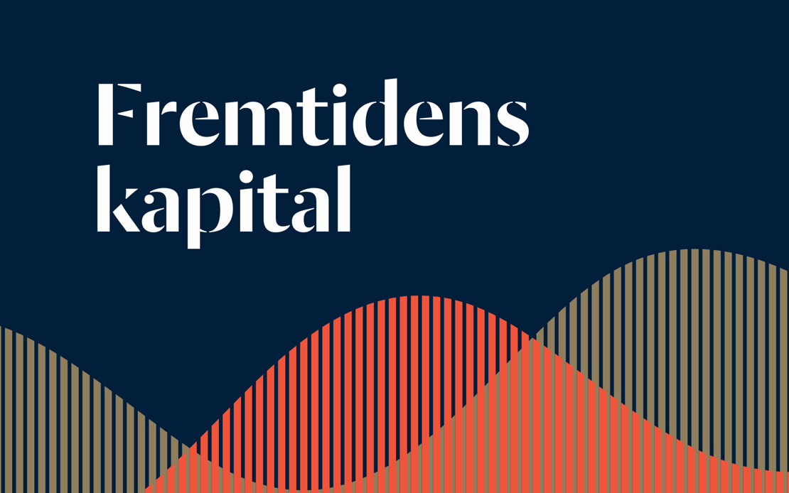Fremtidens Kapital Website (3)